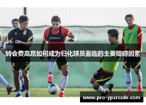 转会费高昂如何成为归化球员面临的主要障碍因素